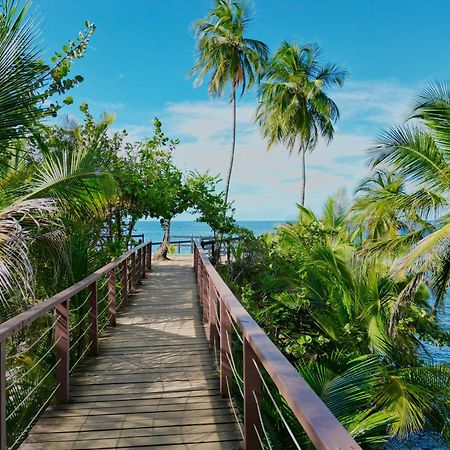 Oso Perezoso Pool Villa Puerto Viejo de Talamanca Ngoại thất bức ảnh