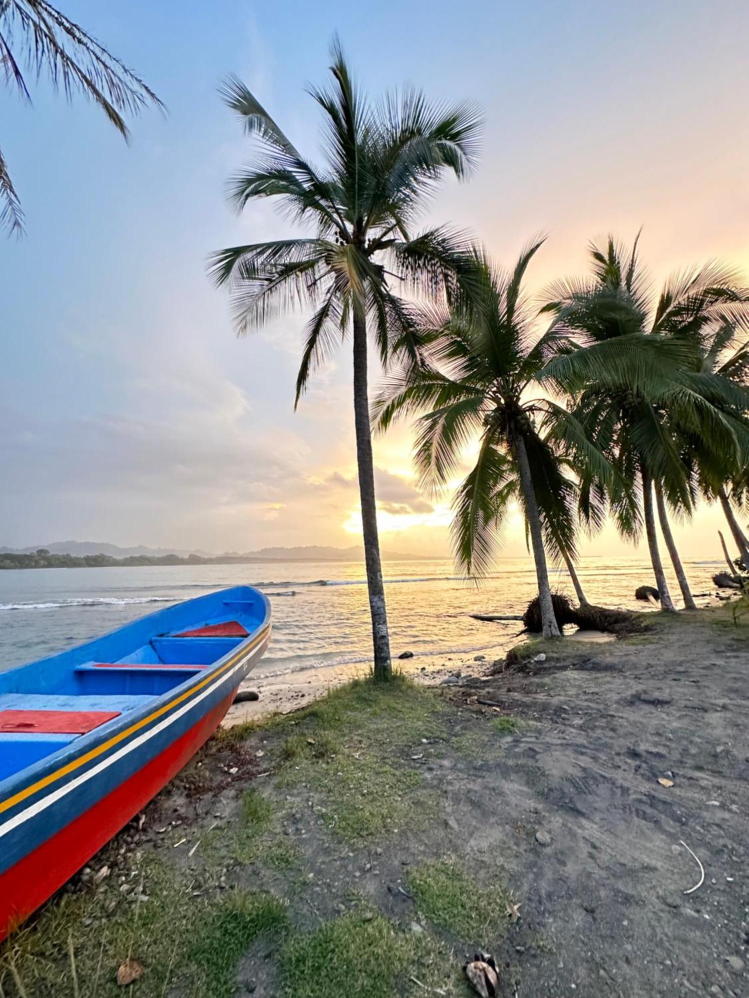 Oso Perezoso Pool Villa Puerto Viejo de Talamanca Ngoại thất bức ảnh