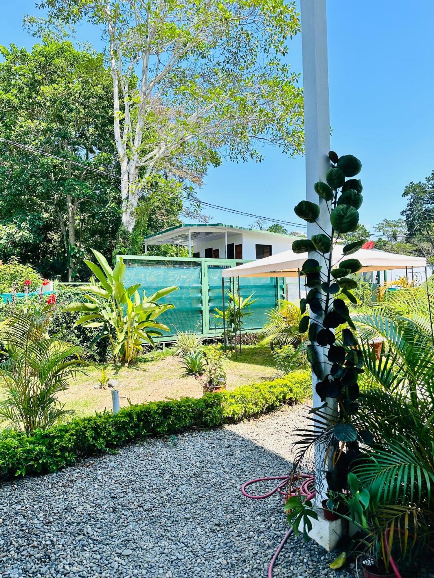 Oso Perezoso Pool Villa Puerto Viejo de Talamanca Ngoại thất bức ảnh