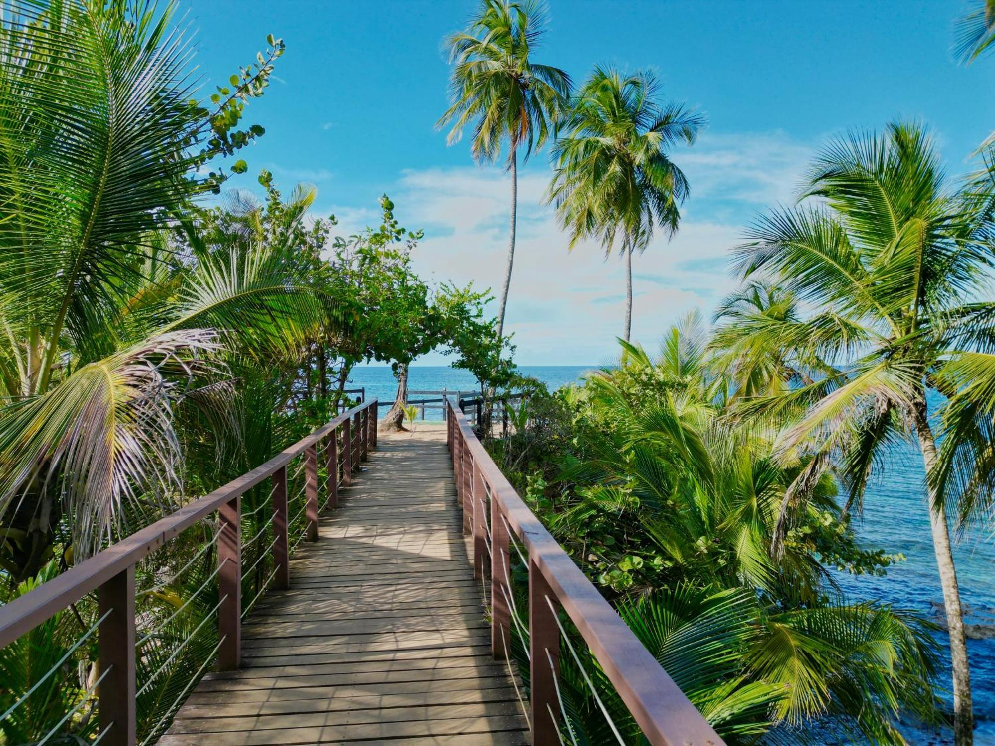 Oso Perezoso Pool Villa Puerto Viejo de Talamanca Ngoại thất bức ảnh