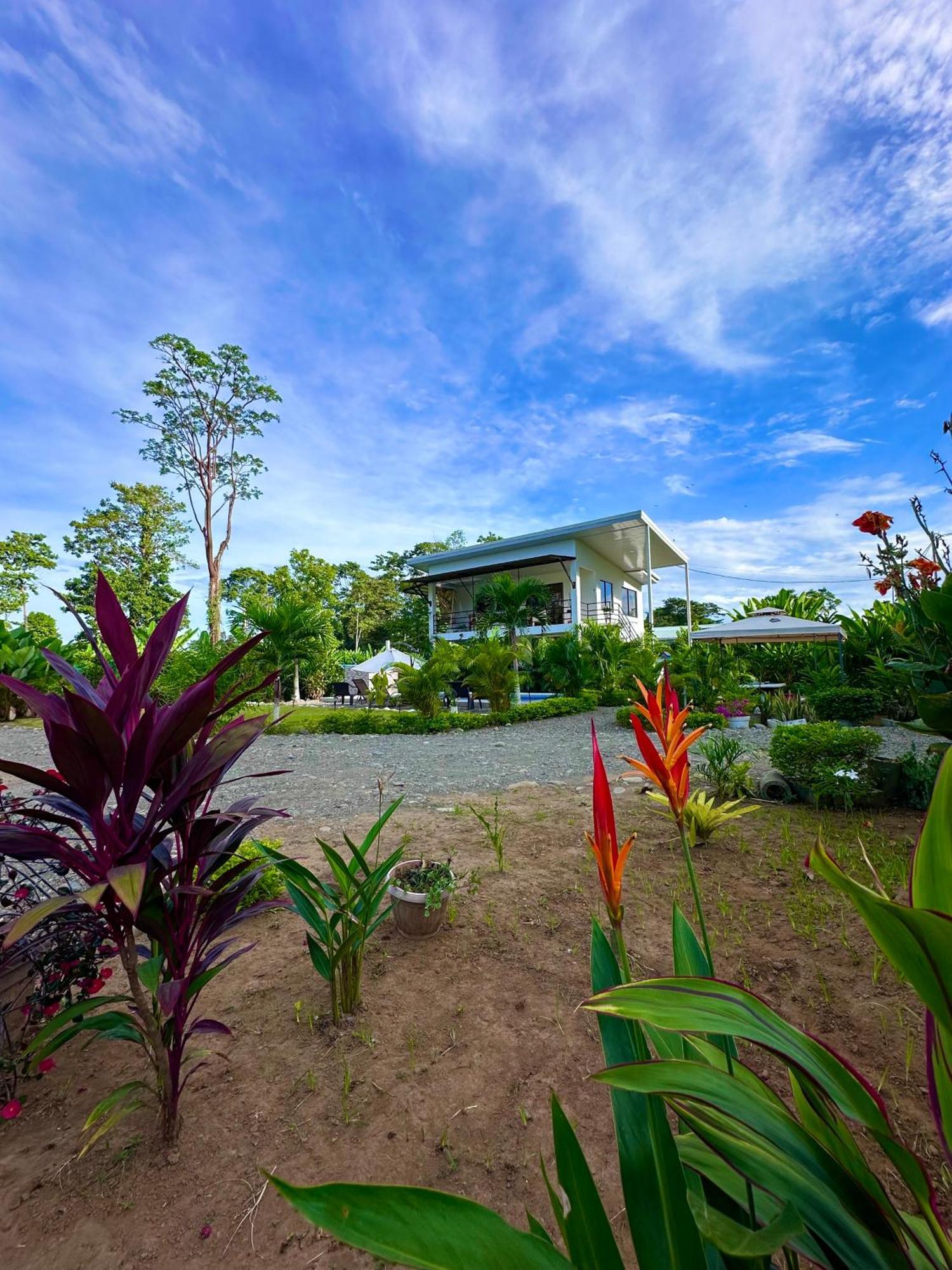 Oso Perezoso Pool Villa Puerto Viejo de Talamanca Ngoại thất bức ảnh