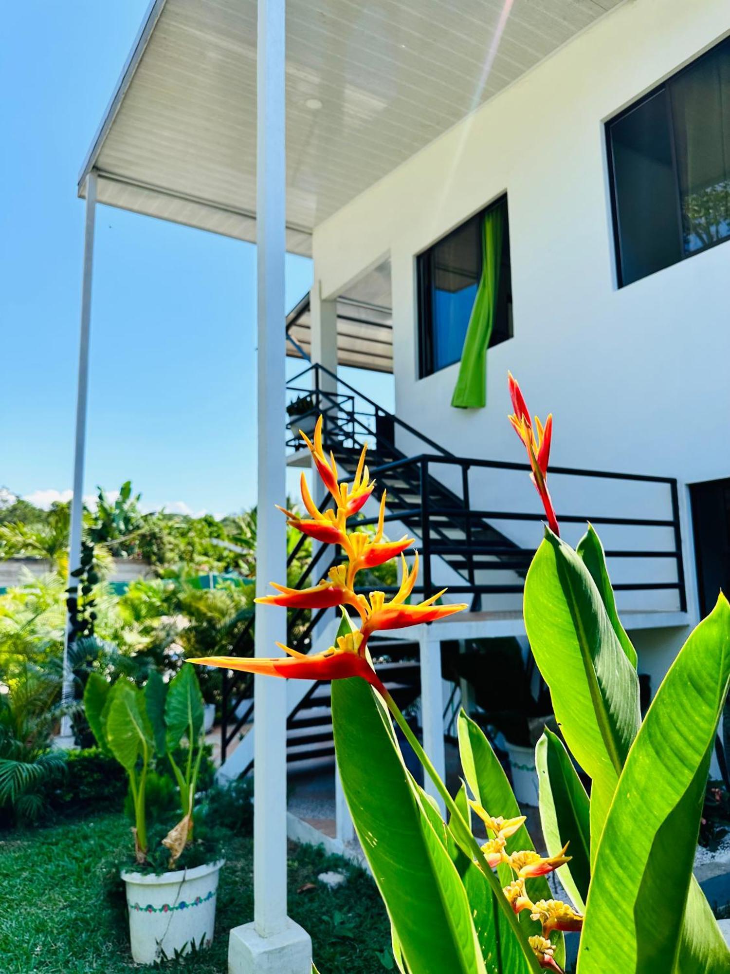 Oso Perezoso Pool Villa Puerto Viejo de Talamanca Ngoại thất bức ảnh