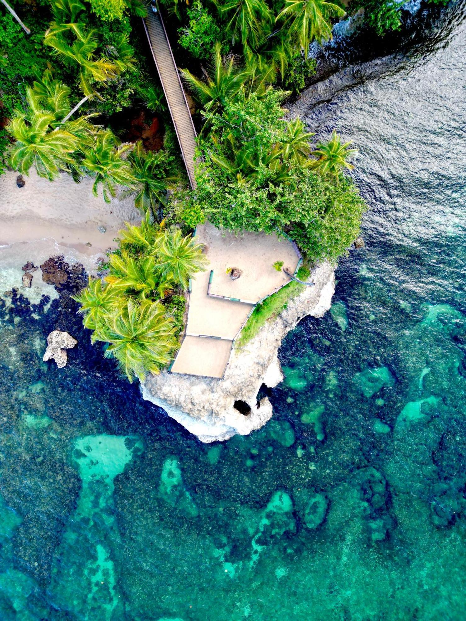 Oso Perezoso Pool Villa Puerto Viejo de Talamanca Ngoại thất bức ảnh